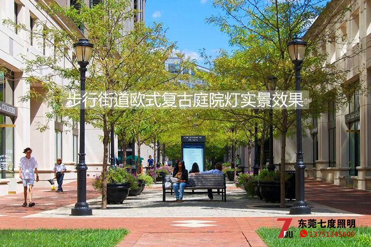 丝瓜成视频人app下载localhost照明-步行街道欧式复古庭院灯安装实景效果图片